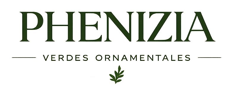 Phenizia