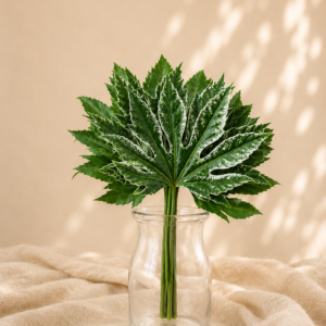 ARALIA BICOLOR